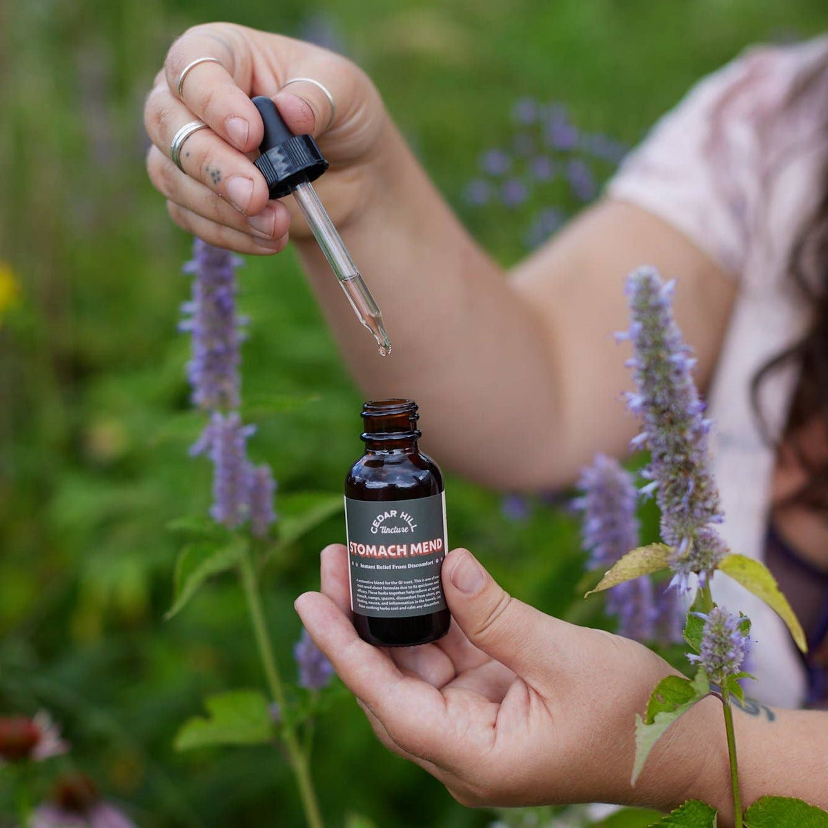 Stomach Mend Tincture– Fast-Acting Nausea Digestion Relief