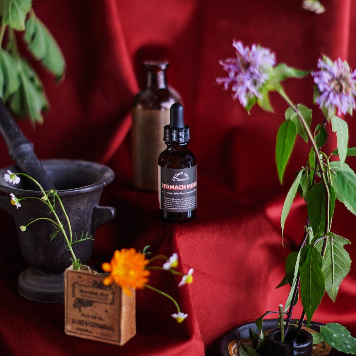 Stomach Mend Tincture– Fast-Acting Nausea Digestion Relief