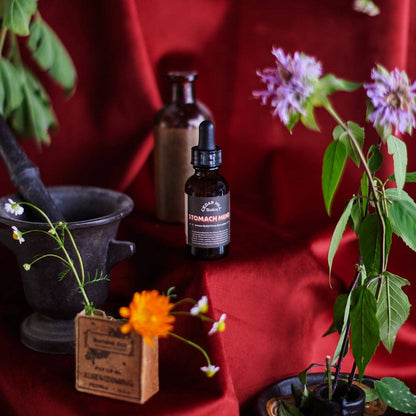 Stomach Mend Tincture– Fast-Acting Nausea Digestion Relief