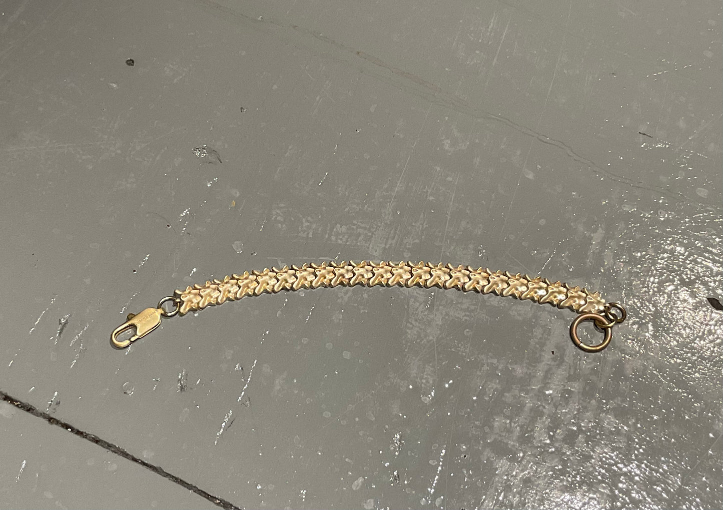 Verbrate Chain Bracelet